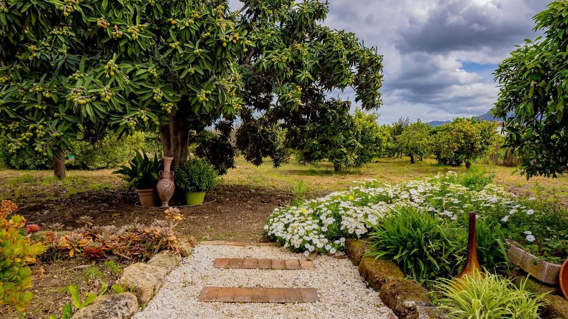 Holiday home Cubo'S Finca Pati Alhaurin el Grande
